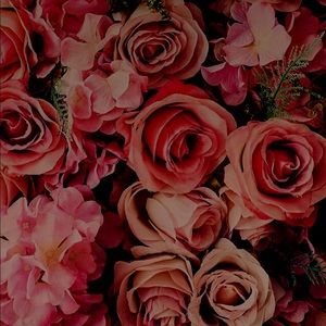 Meet your Posher, Daisy